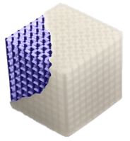 #mesh--half-wss-removal-2-1